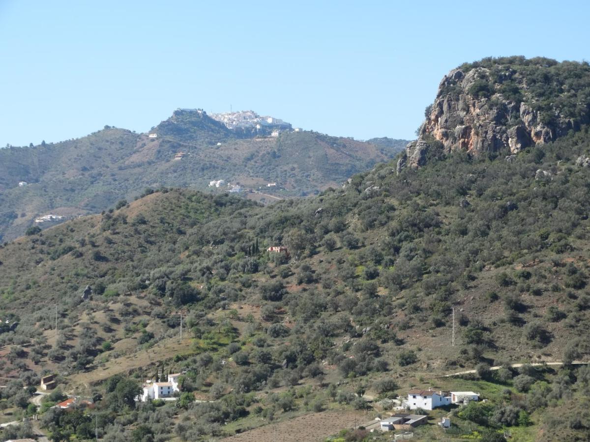B&B Cortijo Loma Leon Cutar 외부 사진