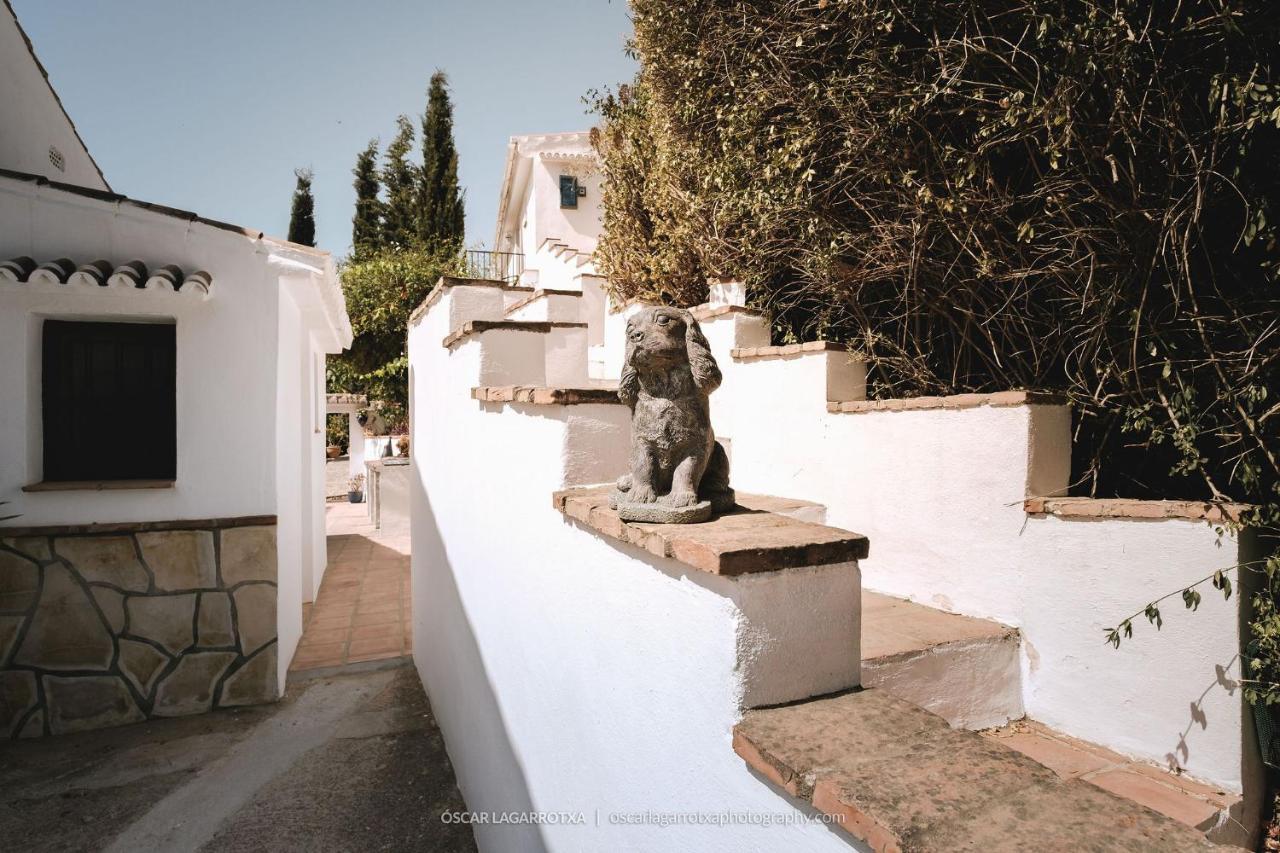 B&B Cortijo Loma Leon Cutar 외부 사진